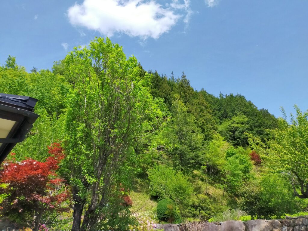 自然豊かな山々