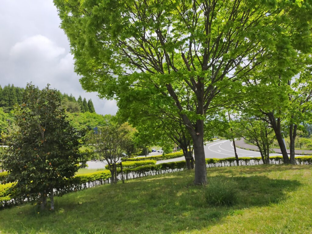 道の駅 ゆふいんでの写真