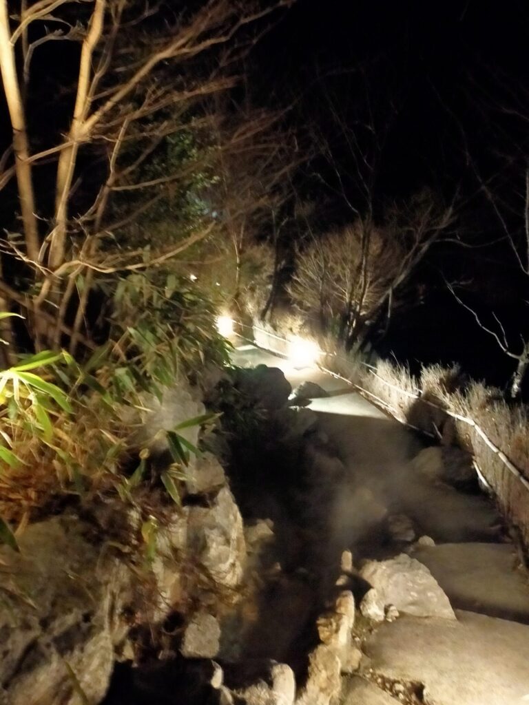 月洸樹の夜風景