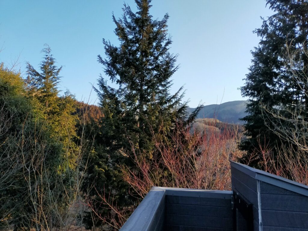 月洸樹の朝風景