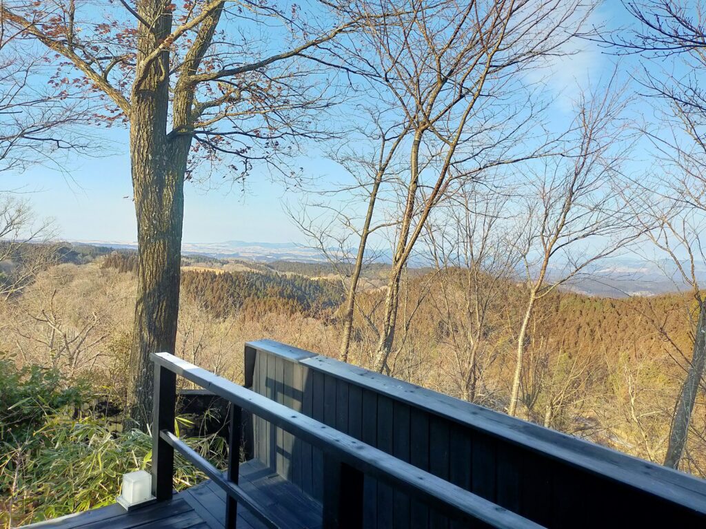月洸樹の朝風景