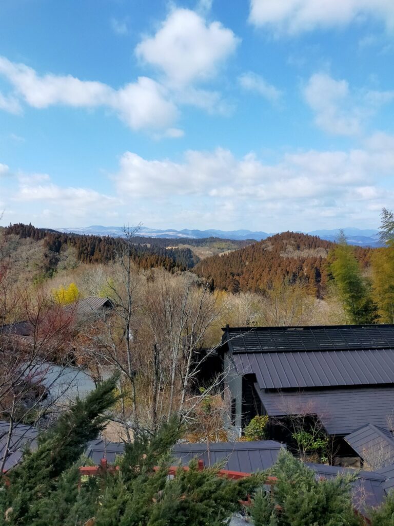 月洸樹の朝風景