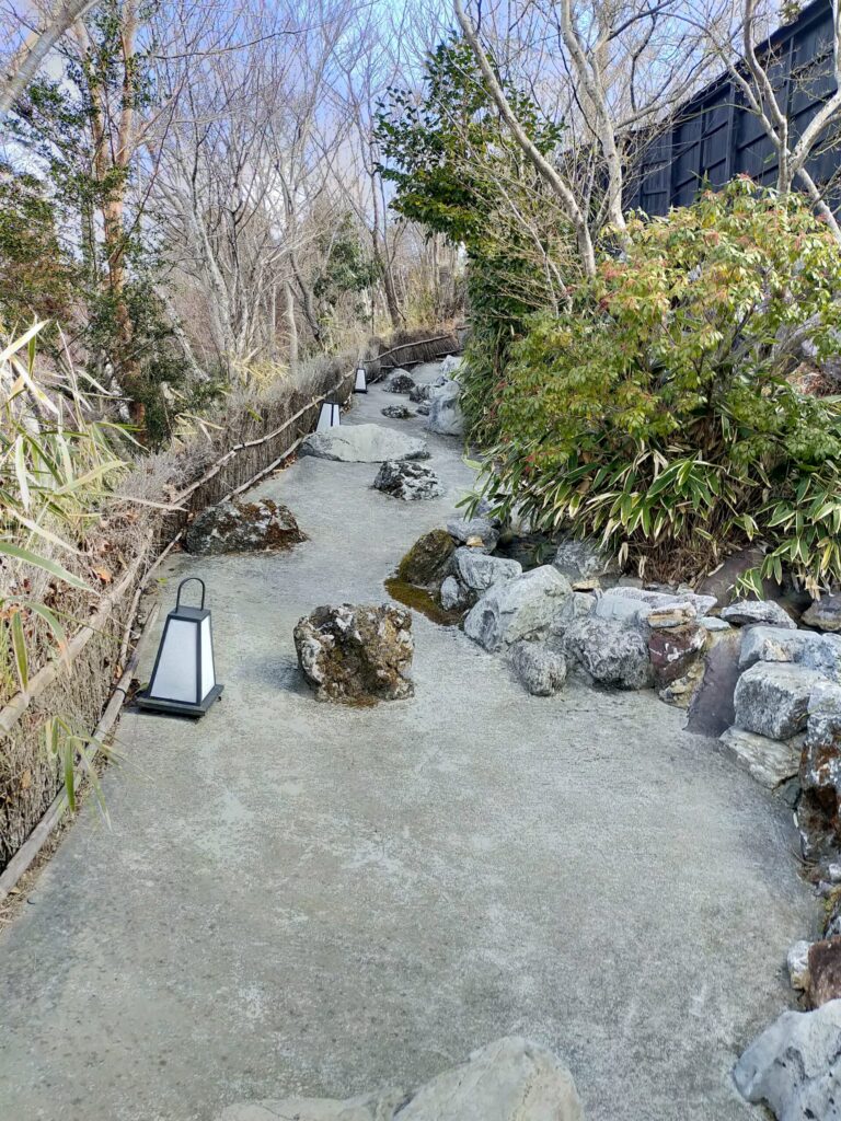 月洸樹の朝風景