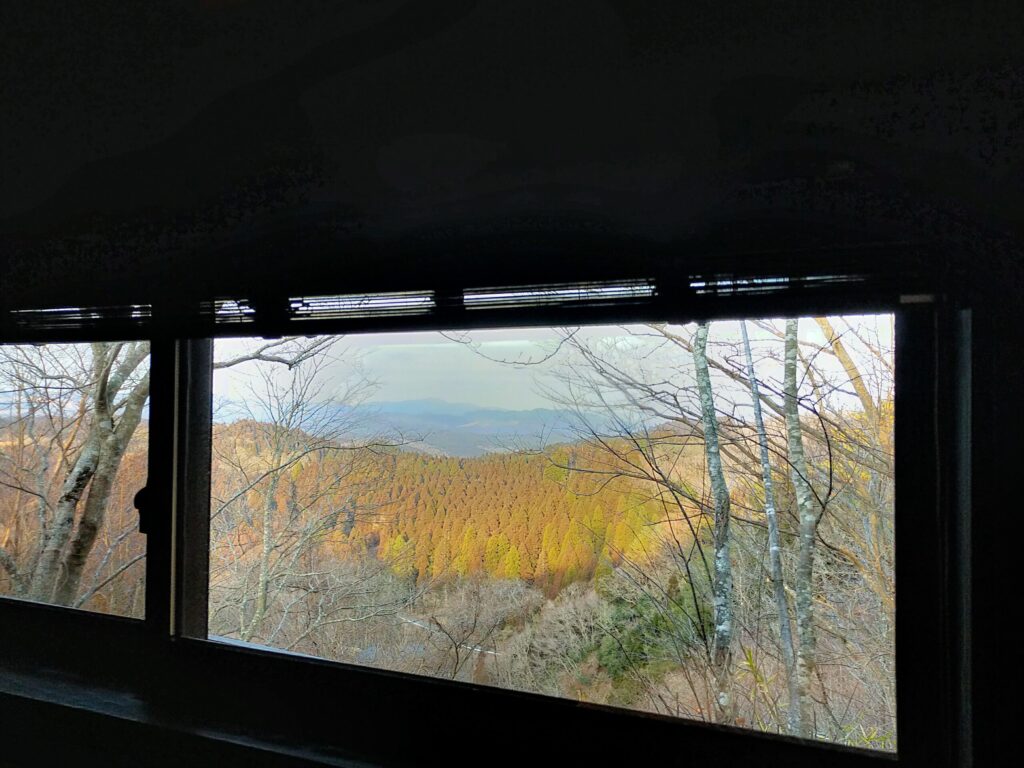 月洸樹の朝風景