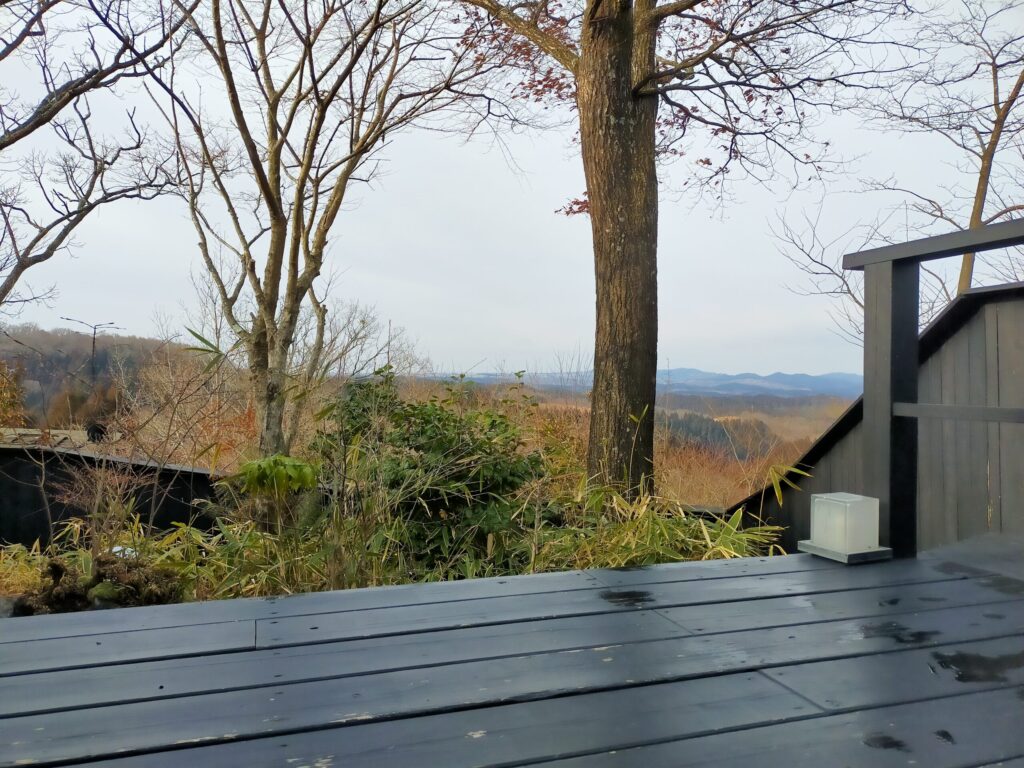 月洸樹の朝風景