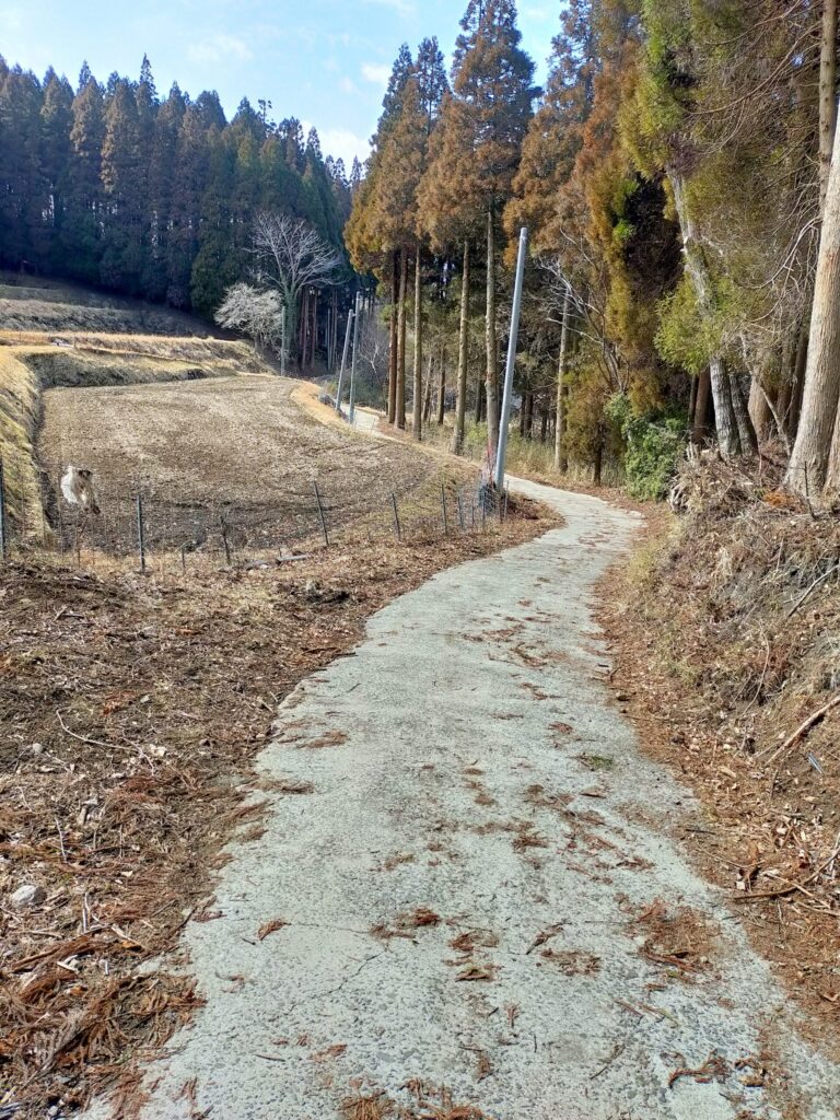黒川温泉までの戻り道