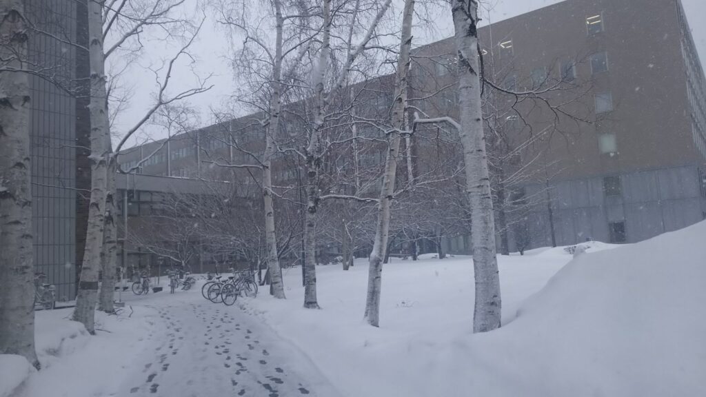 北海道大学の札幌キャンパス