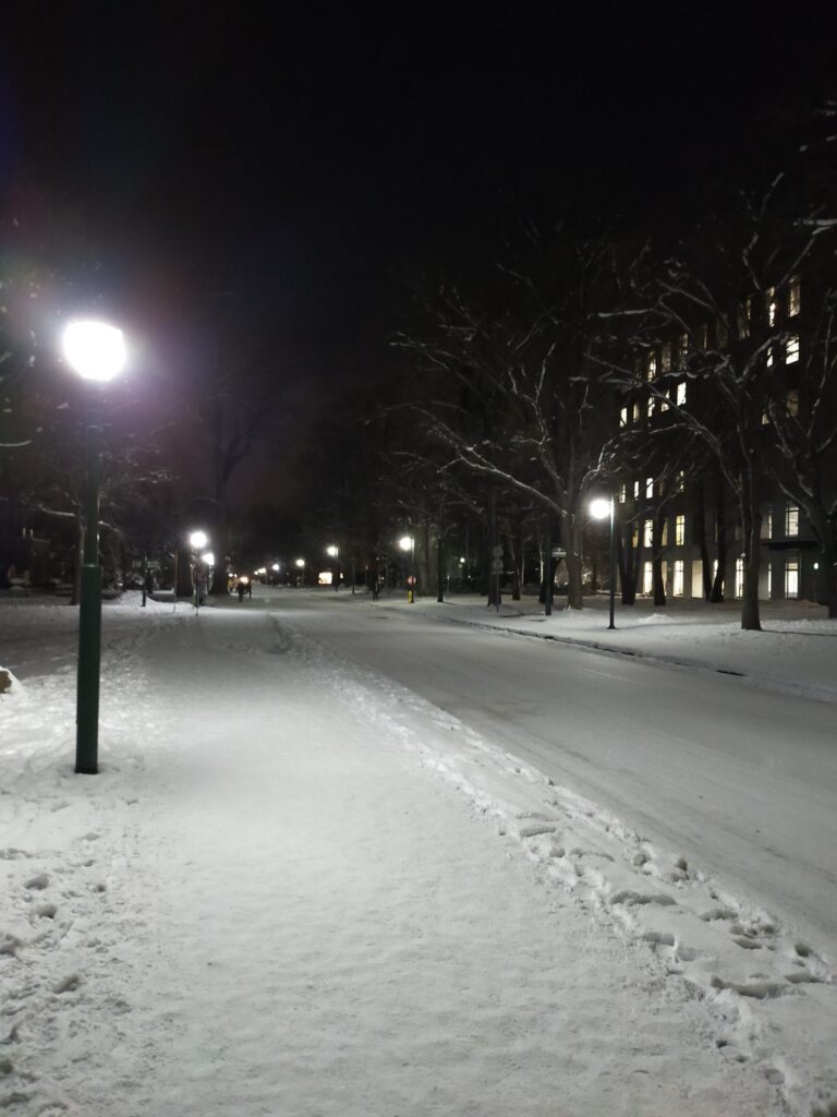 夜の北海道大学