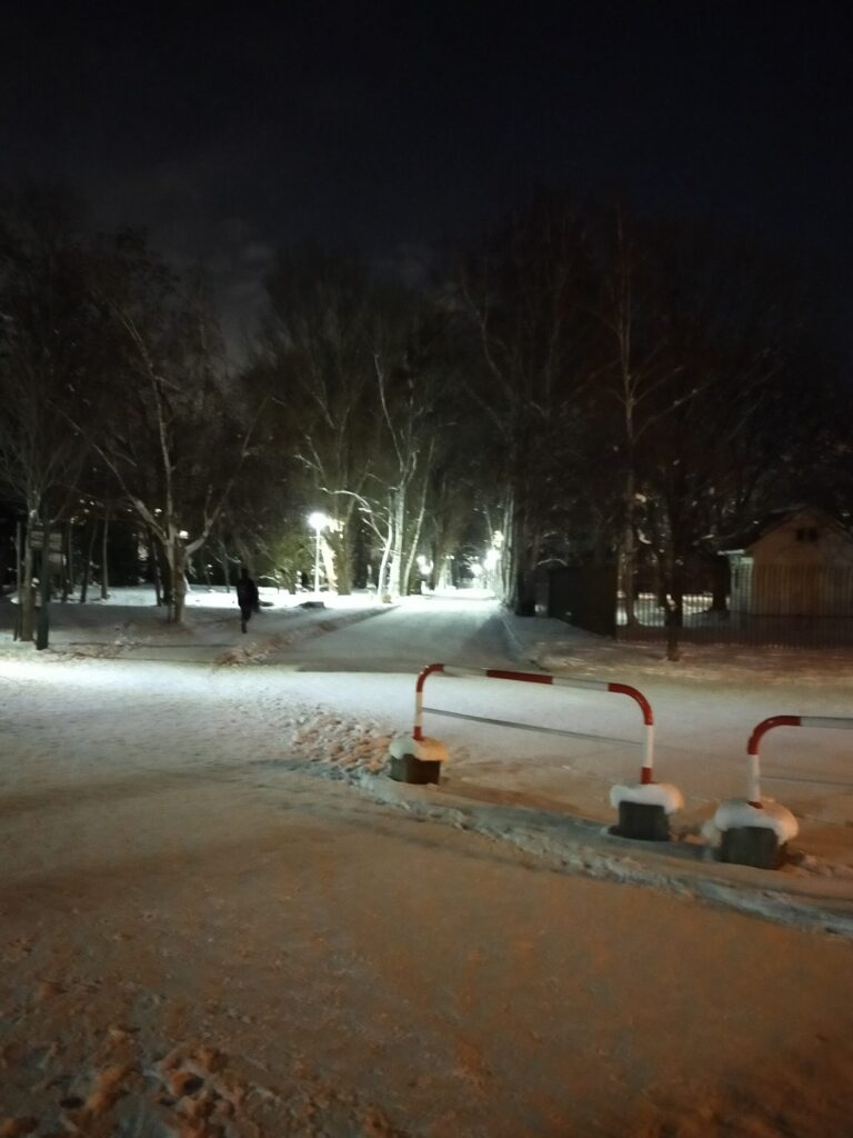 夜の北海道大学